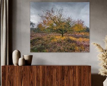 Eiken op heide landschap, a la Monet van Jan Roos