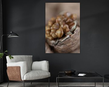 Walnut by Nicky Schouten