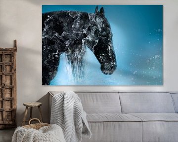 Wasserfall Pferd von Kim van Beveren