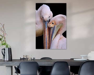 Pelican Love van Thomas Marx