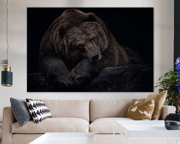 Bruine beer op zwarte achtergrond van Thomas Marx