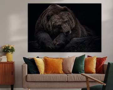 Bruine beer op zwarte achtergrond van Thomas Marx