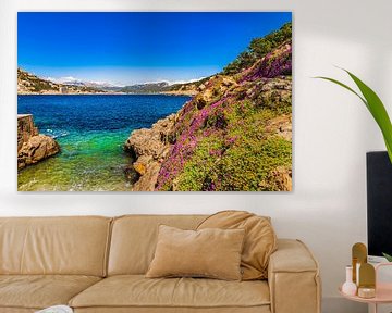 Schöner Blick auf Port de Andratx, idyllische Buchtenlandschaft auf Mallorca von Alex Winter