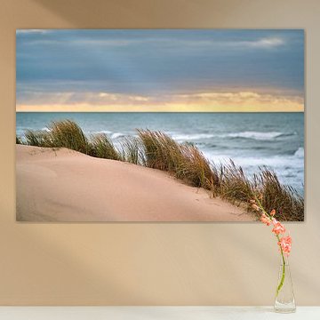 Dünen an der Dänischen Küste