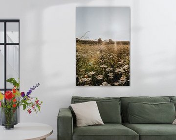 Romantisches Landschaftsfoto mit wilden Gänseblümchen im Vordergrund in Limburg | Naturfotografie |  von eighty8things
