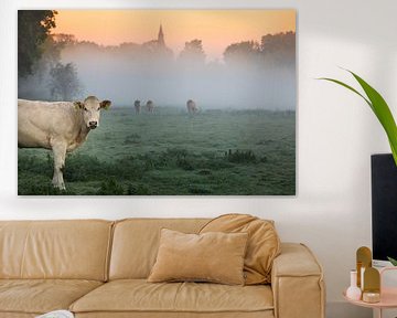 Kuh im Morgen von JPWFoto