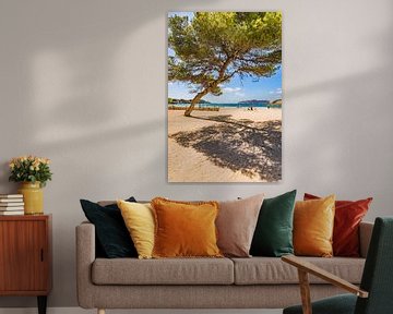 View of beach in Santa Ponca bay, Mallorca Mediterranean Sea by Alex Winter