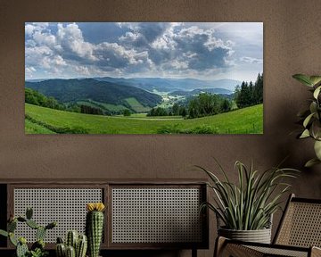 Duitsland, XXL Zwarte Woud natuur landschap panorama van Lindenb van adventure-photos