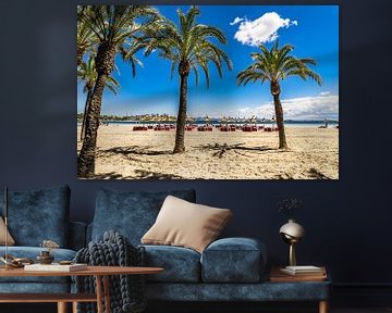 Platja de Alcudia beach with palm trees on Majorca island, by Alex Winter
