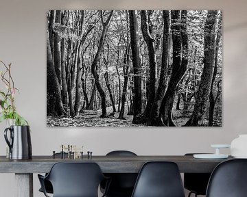 Black & White forest van Ilya Korzelius