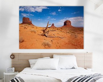 Monument Valley, Monument Valley Navajo Tribal Park der Navajo-indianen van Gert Hilbink