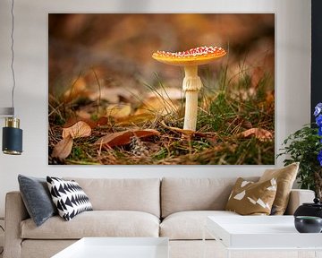 agaric tue-mouches