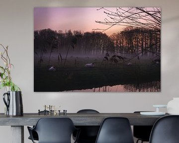 Mistige zonsopkomst met schaapjes in Nederland van Rianne van Baarsen