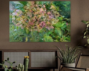 Un hortensia aux couleurs de l'automne