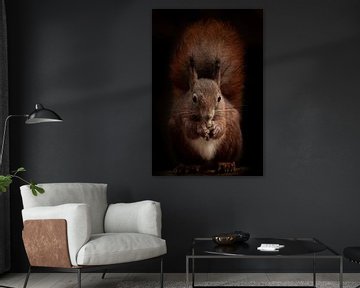Rode eekhoorn van Danielle van Doorn