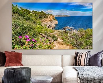 Vue de la côte rocheuse de Majorque, Espagne, îles Baléares. sur Alex Winter