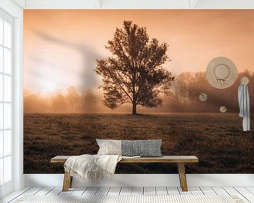 Lonely Tree by Andreas Vanhoutte