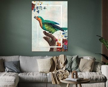 Papagei von Gisela- Art for You