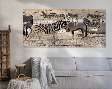 Safari Dieren in Namibië van Thomas Marx