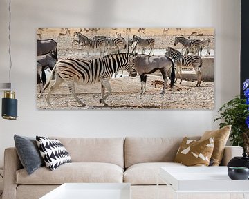 Safari Animals in Namibia by Thomas Marx