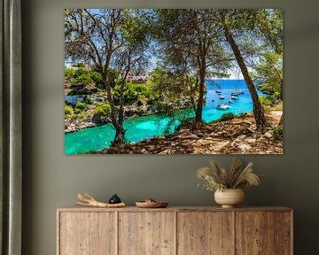 Beautiful bay with yachts boats and turquoise sea water, Cala Pi by Alex Winter