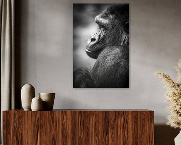 Close-up portret Gorilla van Nikki IJsendoorn