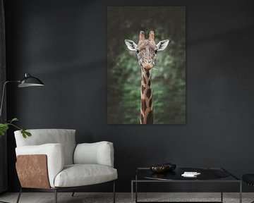 Portrait en gros plan d'une girafe sur Nikki IJsendoorn