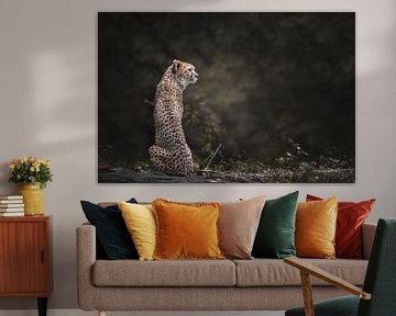 Cheetah portret van Nikki IJsendoorn