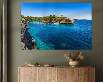 Beautiful view of bay with boats yachts at the coast of Cala Pi by Alex Winter