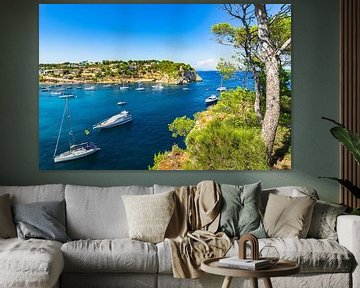 Vue pittoresque de yachts de luxe sur la côte de Portals Vells sur Alex Winter