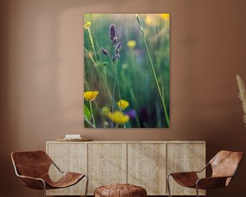 Wildflower Splendor by Martijn Wit
