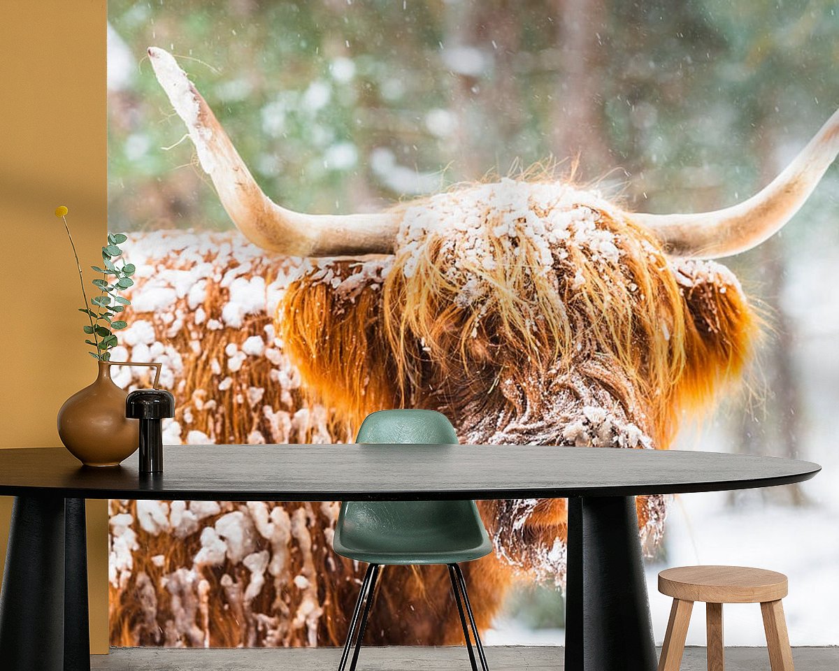 Raumvorschau