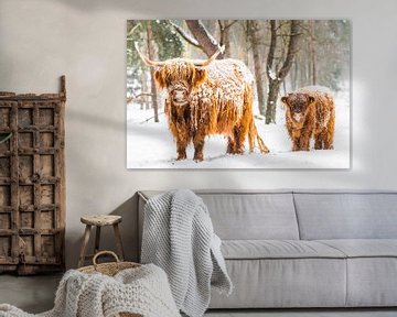 Porträt einer schottischen Highlander-Kuh mit Kalb im Winter im Schnee von Sjoerd van der Wal