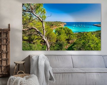 Baie idyllique avec des bateaux de plaisance au bord de la mer à Cala Varques sur Alex Winter