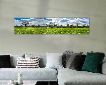 Magnifique paysage panoramique de prairie avec des fleurs jaunes sur Alex Winter