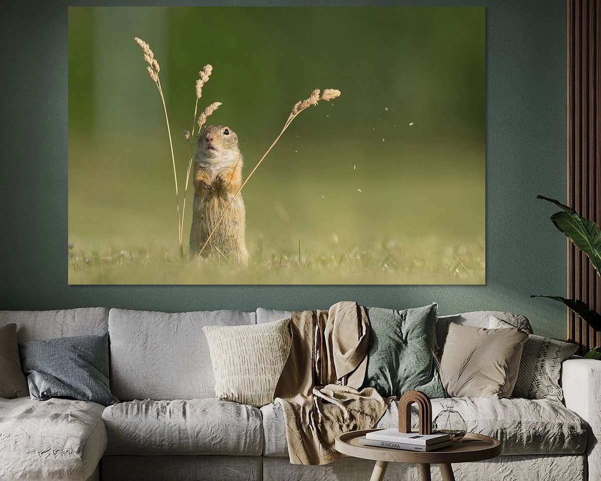 Voorbeeld van het werk in een kamer