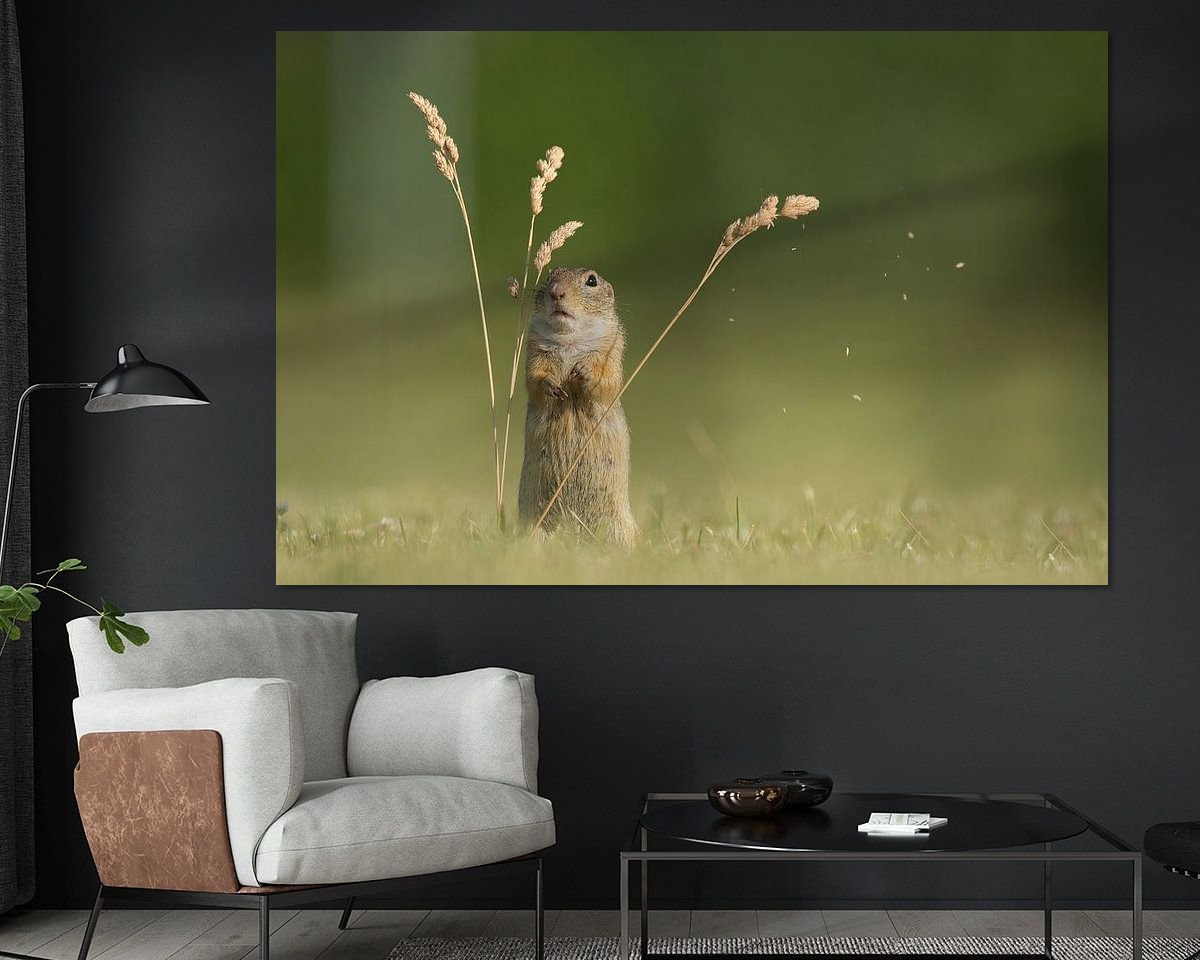 Voorbeeld van het werk in een kamer