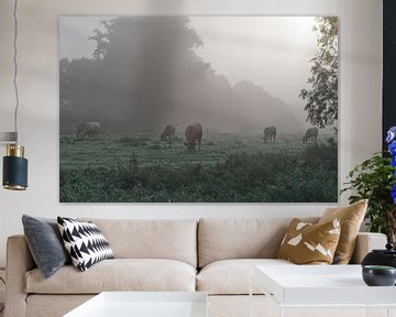 Koeien grazen in de mist van Texas van Egmond