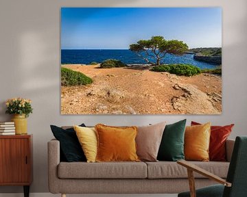 Schöner Blick auf die Küste der Insel Mallorca, Spanien von Alex Winter
