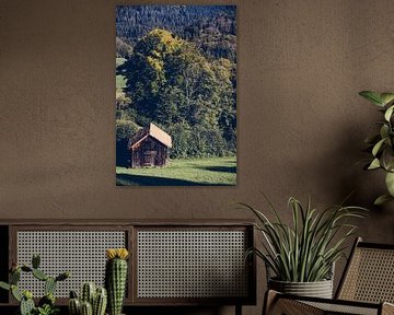 Houten Hut in het Schwarzwald van Patrycja Polechonska