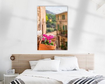 Traditional potted plant in the famous village Valldemossa by Alex Winter