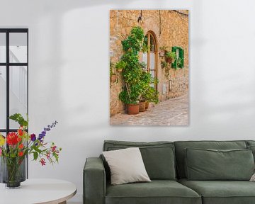 View of traditional plant decoration in Valldemossa by Alex Winter