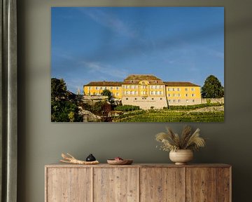 Facade of Meersburg State Winery on Lake Constance in Germany with vineyard by Dieter Walther