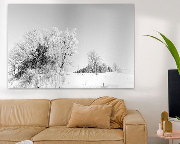 Winterlandschap met bomen in de sneeuw in zwart-wit in de Allgäu in Duitsland van Dieter Walther