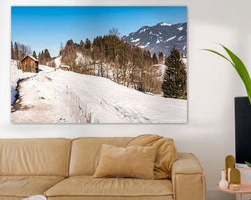 Walk in winter landscape with snow in Allgäu Germany by Dieter Walther