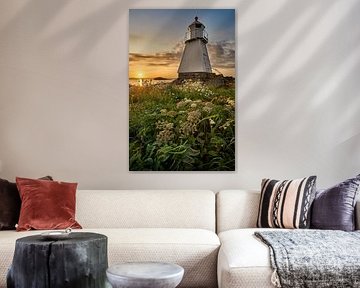 Spring flowers bloom around the lighthouse during sunset, Vigra, Norway