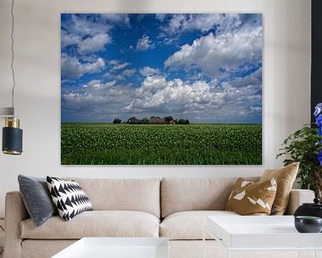 Potato field with farm by Theo Felten