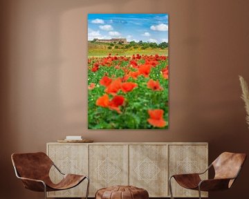 Paysage romantique d'un champ de coquelicots rouges sur Alex Winter