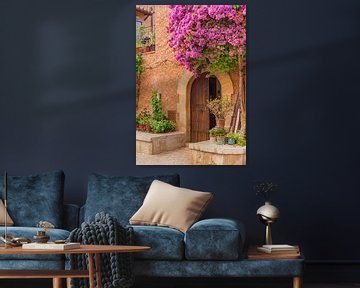 Prachtige bougainvillea bloeiend op mediterrane huis ingang van Alex Winter
