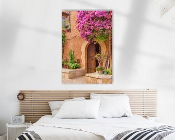 Prachtige bougainvillea bloeiend op mediterrane huis ingang van Alex Winter